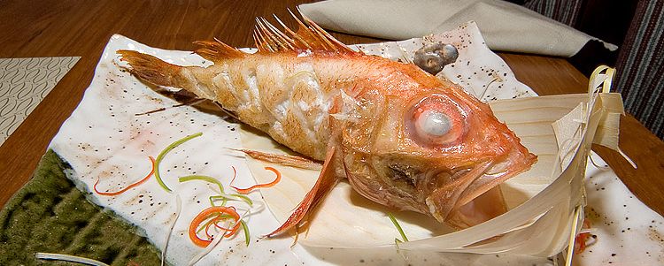 Японська делікатесна риба кінкі
