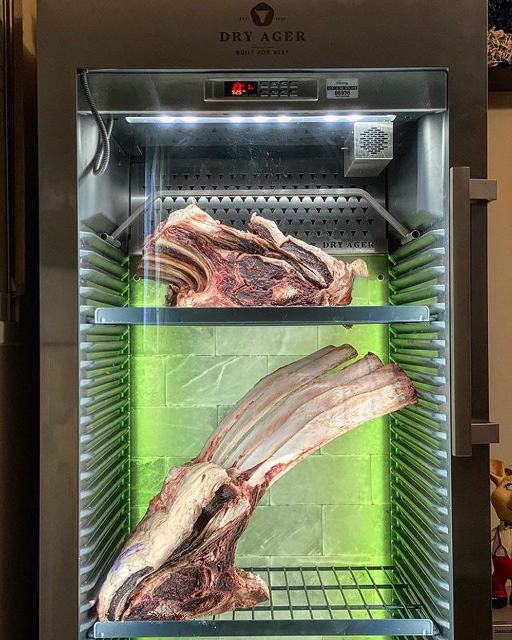 Шкаф для вызревания мяса Dry Ager DX 1010Р с DX LED до 100 кг DX 1010Р Premium  от СП Контакт