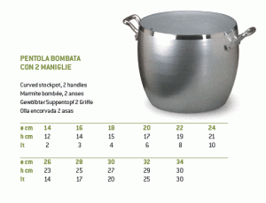 Curved stockpot, 2 handles